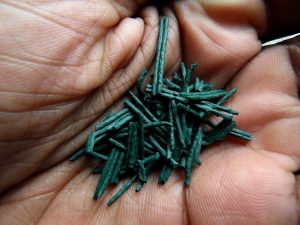 de-la-spiruline